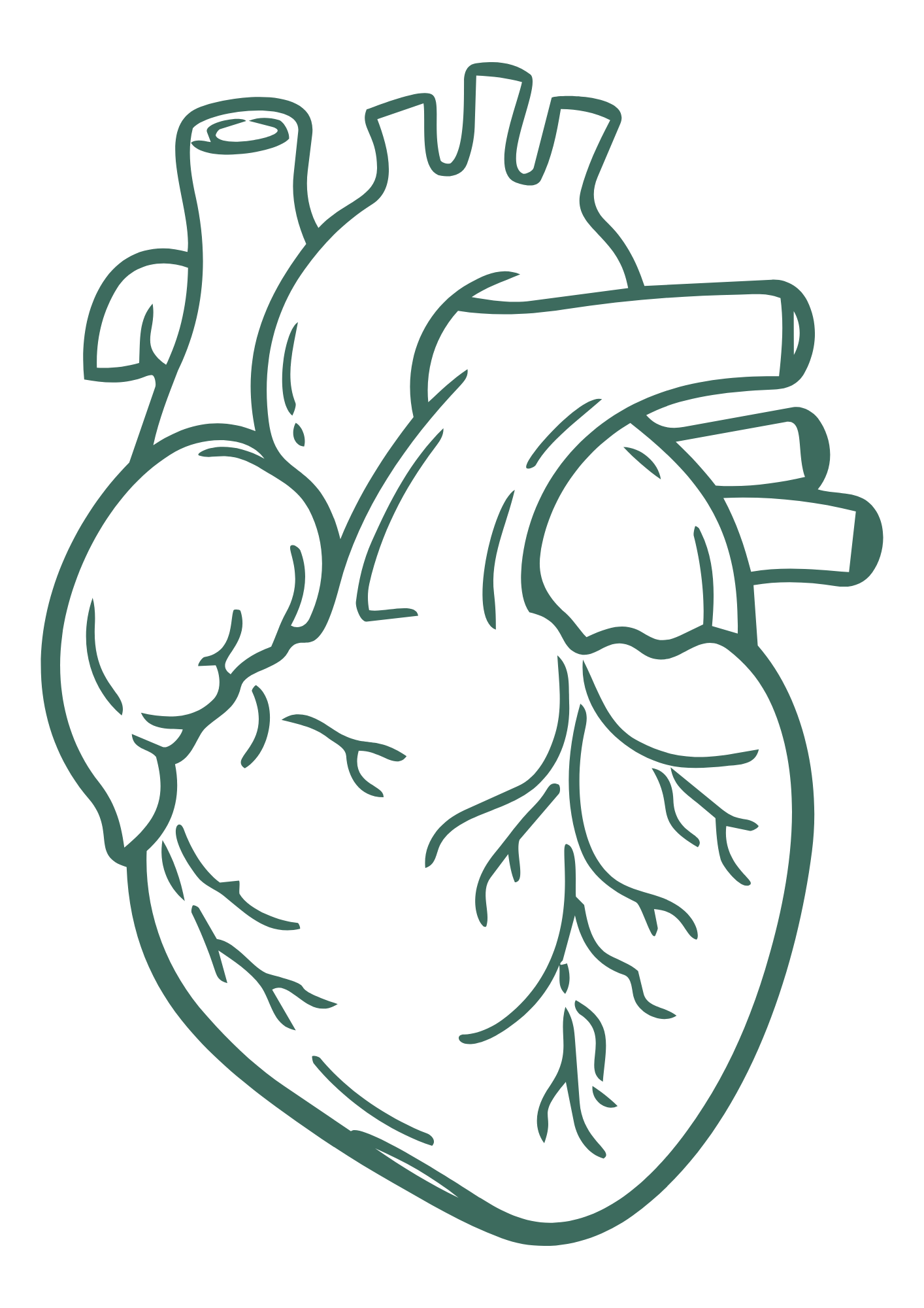 The Ancient Heart & Circulation Code