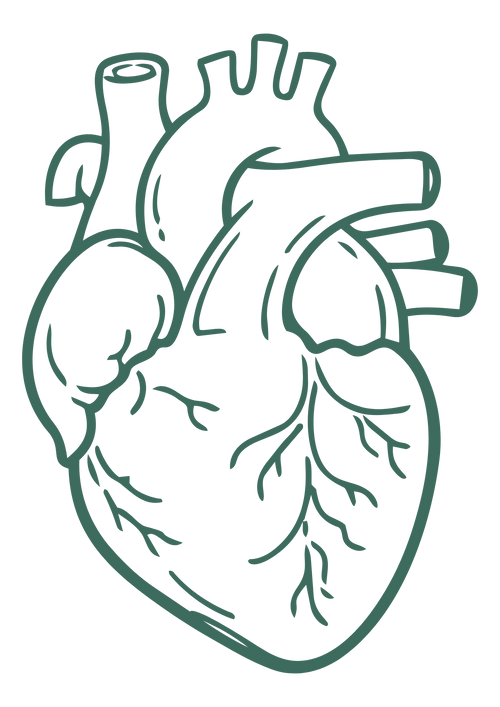 The Ancient Heart & Circulation Code