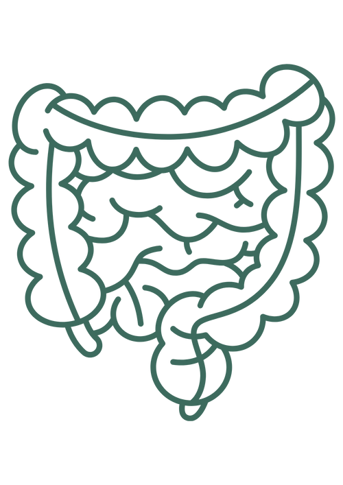 The Ancient Gut & Microbiome Reset