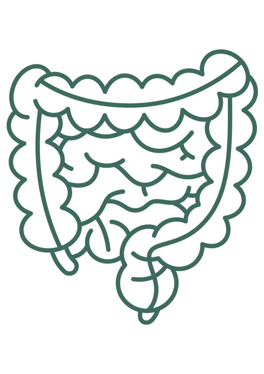 The Ancient Gut & Microbiome Reset